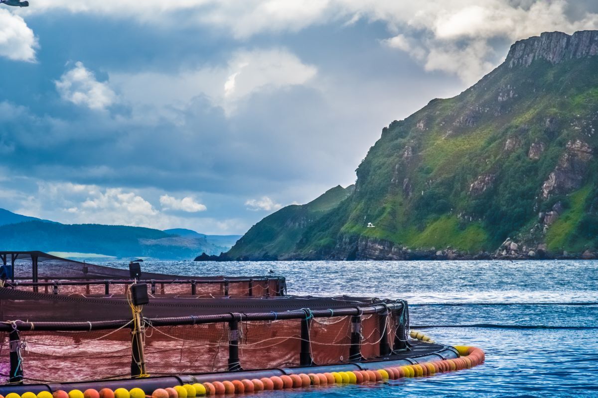 Fish-farm_Skye_AdobeStock_187791224-202412207.jpg