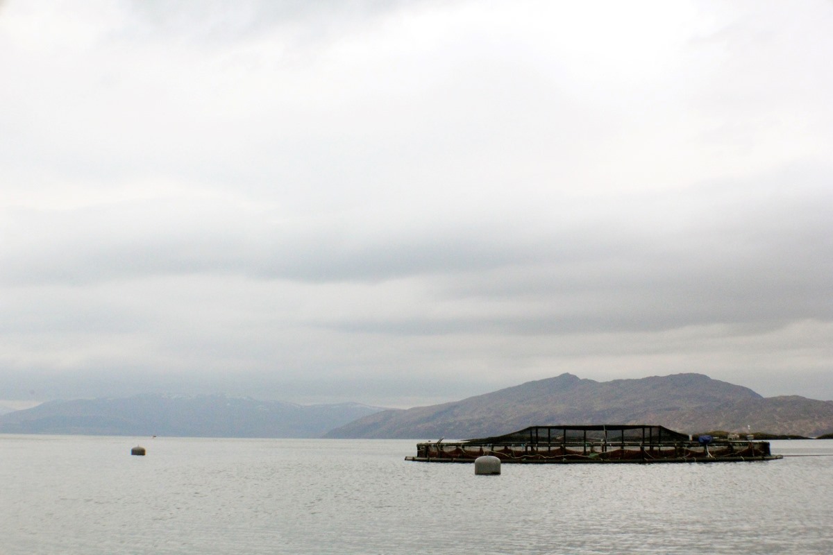 Misty-fish-farm_Salmon-Scotland-20241220.jpg