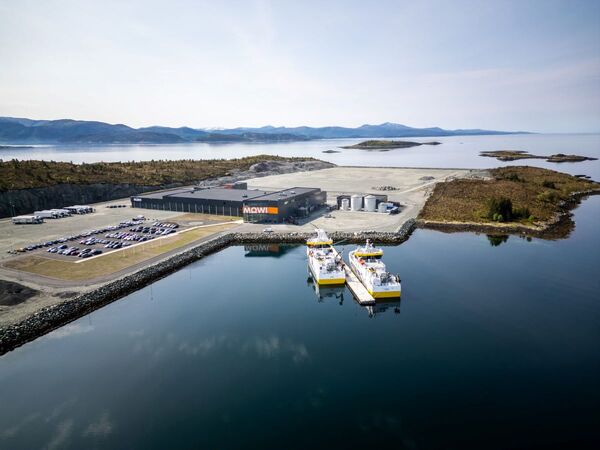 Mowi facing double disease blow