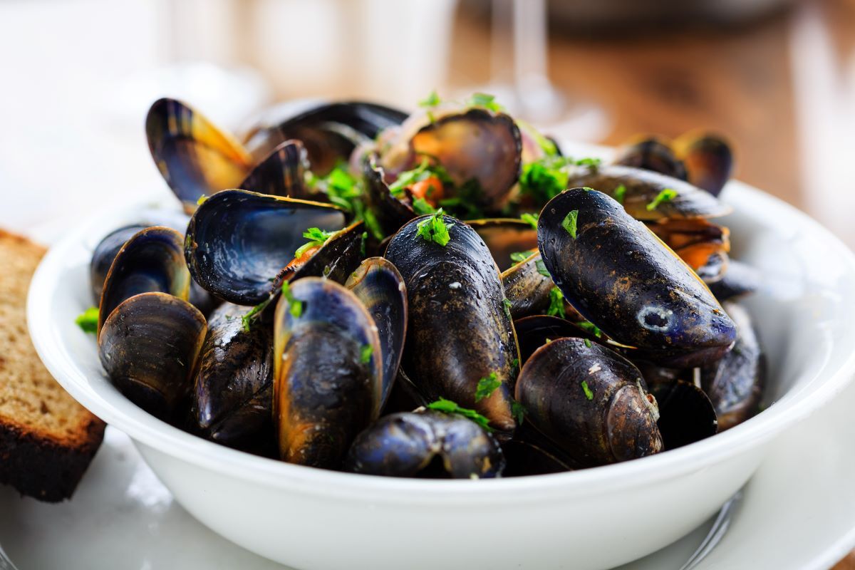 Mussels-from-Isle-of-Lewis_AdobeStock_383278891-20241220.jpg