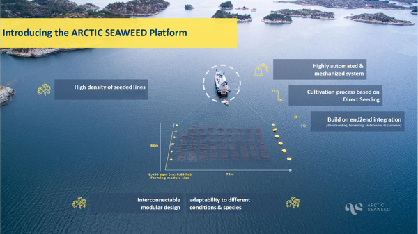 Seaweed project aims to develop a scalable model for the industry