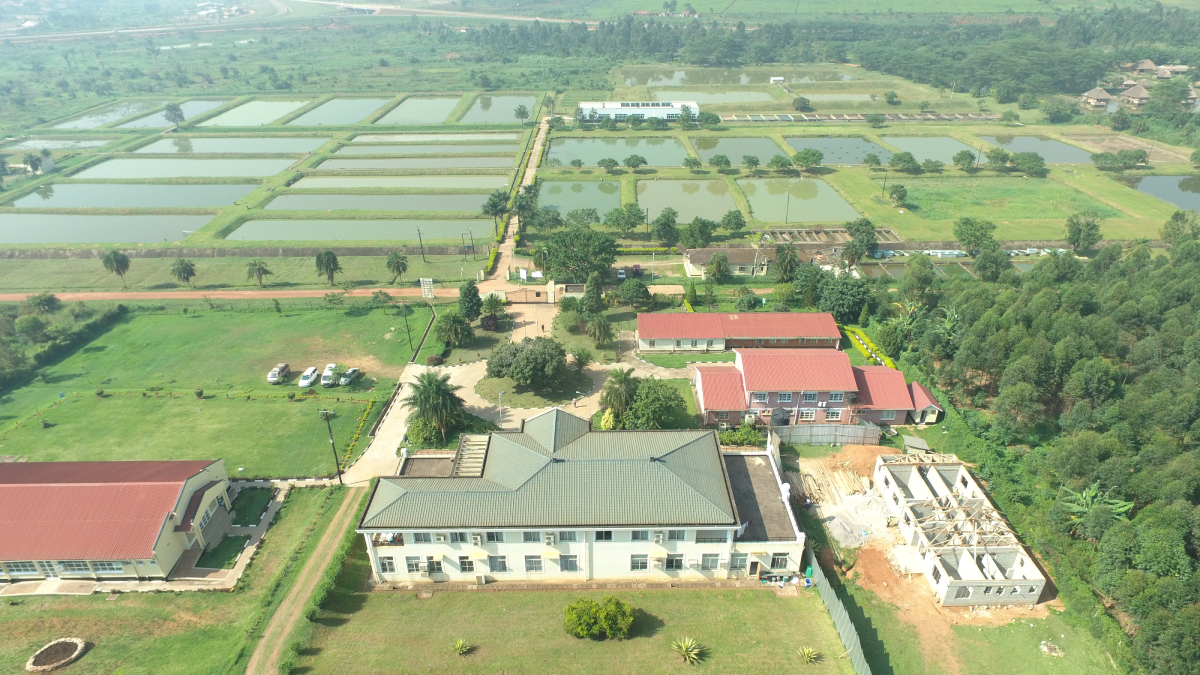 Fish_farm_Africa_photo_WAS_0386-20250107.jpg