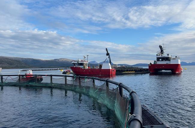 Mortenlaks_farm_and_workboat.jpg