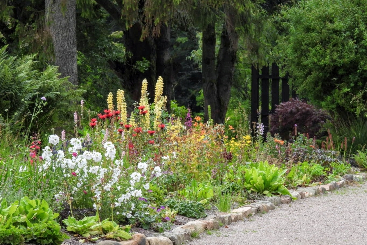 Crarae Gardens ready to burst into life next month