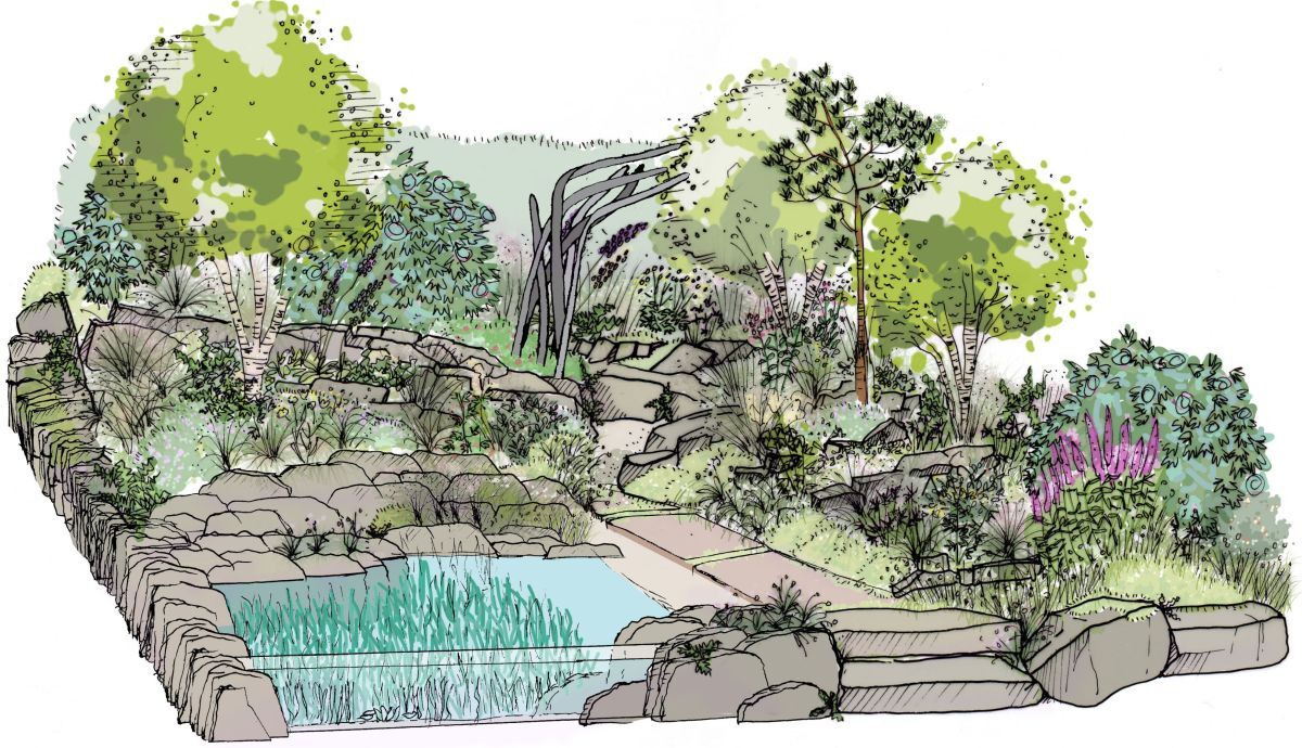 The Seawilding Garden will go on show in the All About Plants category, designed by MUSA Landscape Architecture and supported by Project Giving Back.