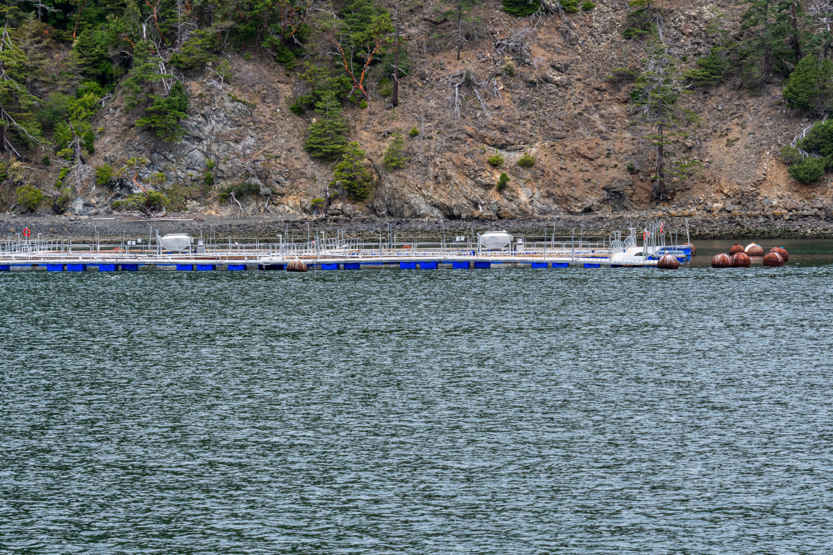 fish_farm_Washington_state_AdobeStock_274809586_20250108.jpg