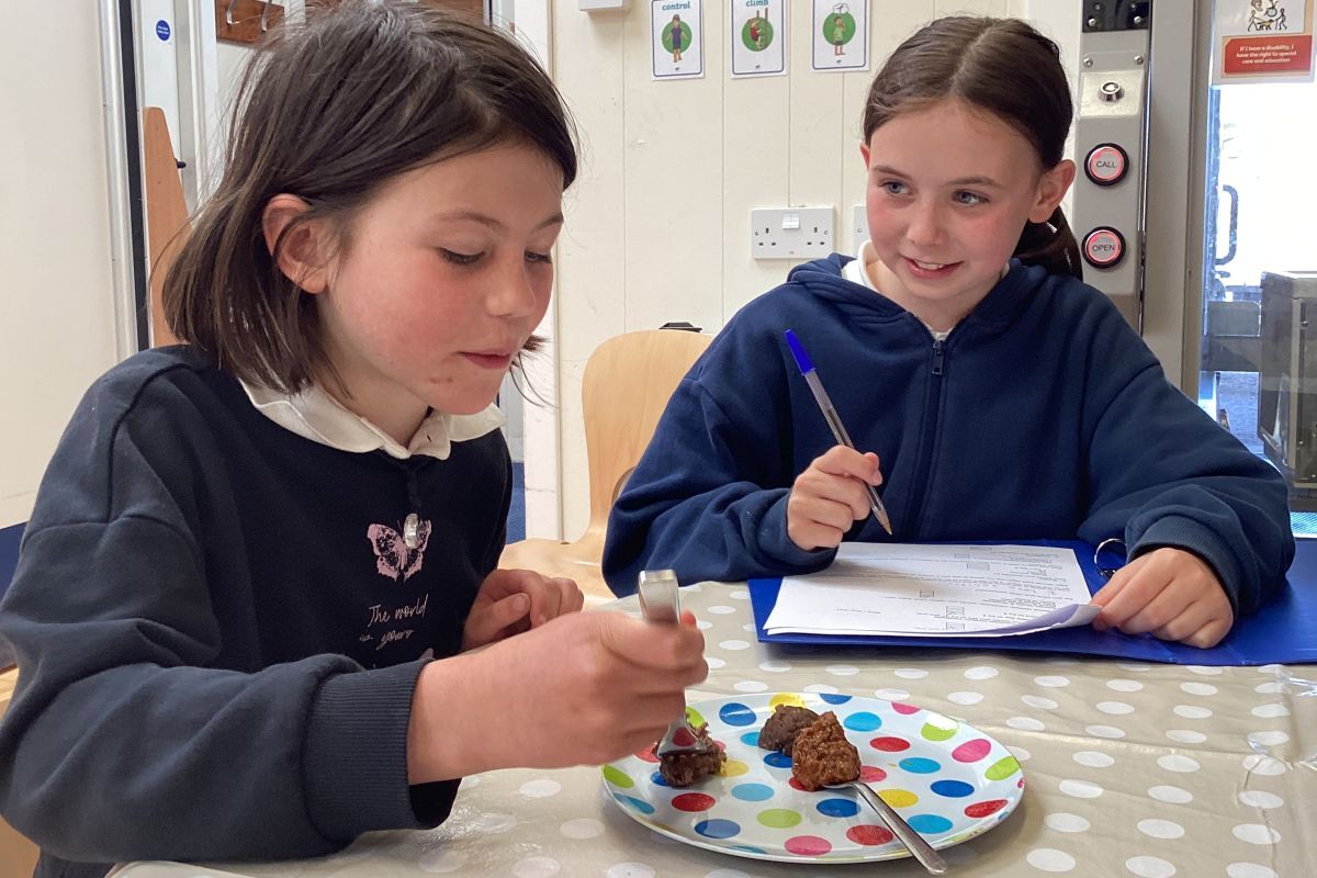 Pupils taste testing wild venison as a new healthy option for the school dinners.