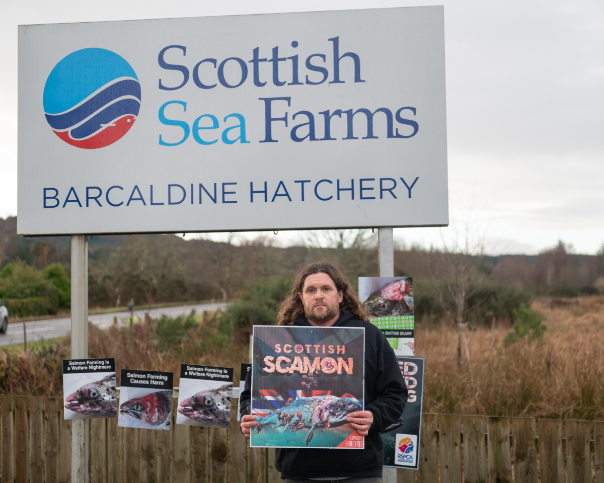 Campaigner holds protest at Barcaldine hatchery