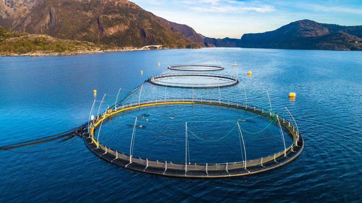 Fish-farm-Hordaland-Norway_AdobeStock_263321732-20250123.jpg