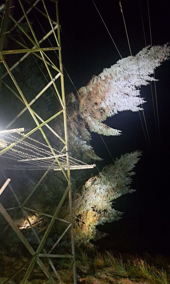 Trees down on power lines during the storm. Photograph: SSEN