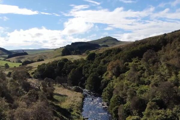 Highland Rewilding drop-in session to update community