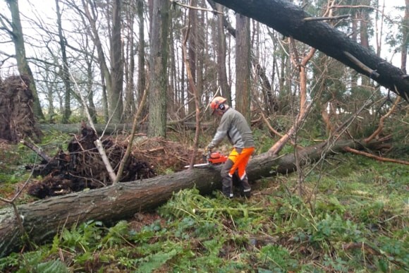 Scottish Forestry warn of the dangers of forests following Storm Eowyn damage