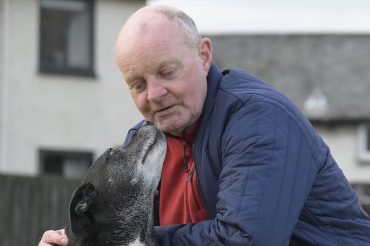 Enterprising endeavour pays dividends for one man and his dog