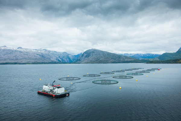 BREAKING NEWS: Mowi’s Nova Sea deal receives Oslo green light