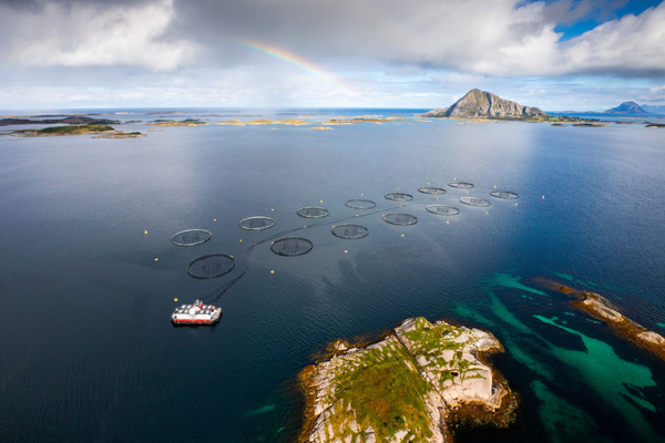 Salmon farmer Nova Sea snapped up