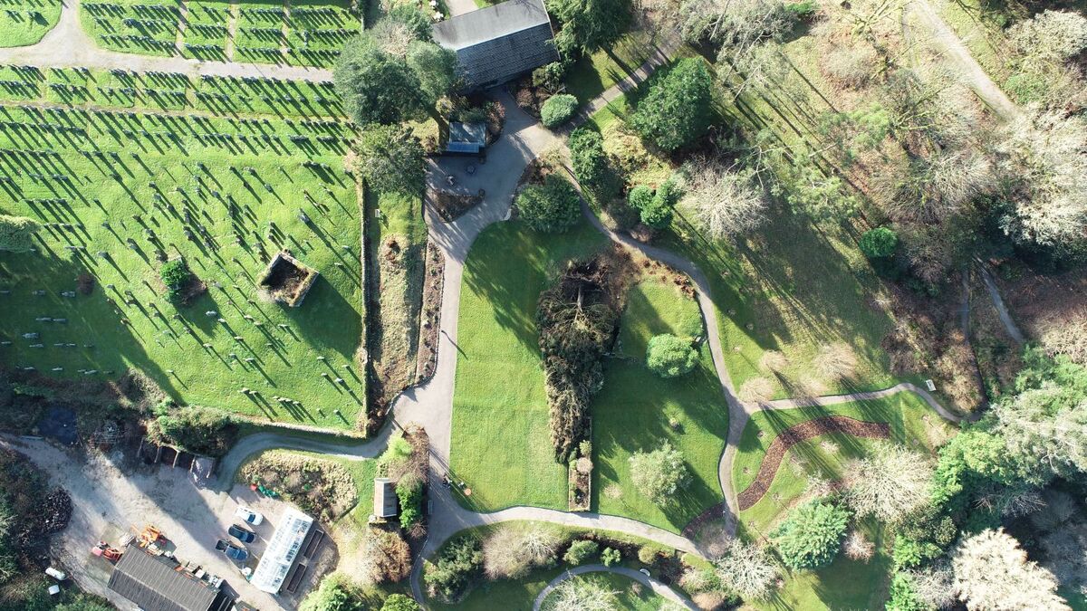 Gardens in Argyll face long clean-up mission after Storm Eowyn