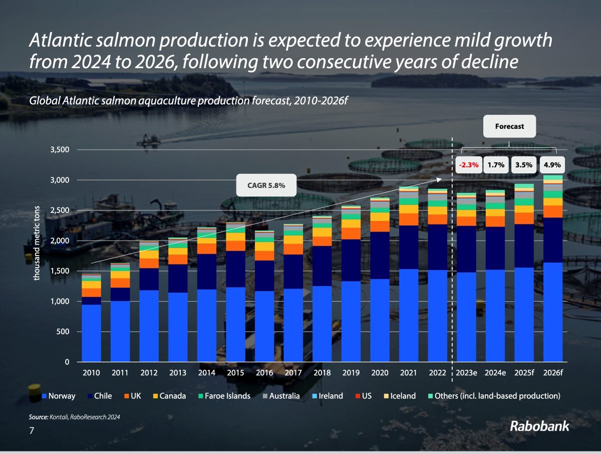 Atlantic-salmon-prodn-2024-26_Rabobank.jpg