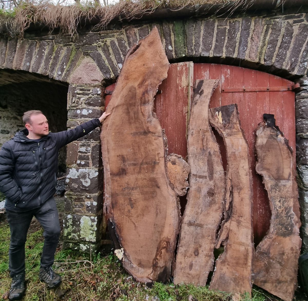 Just some of the walnut slabs up for sale from Dunollie Museum Castle and Grounds.