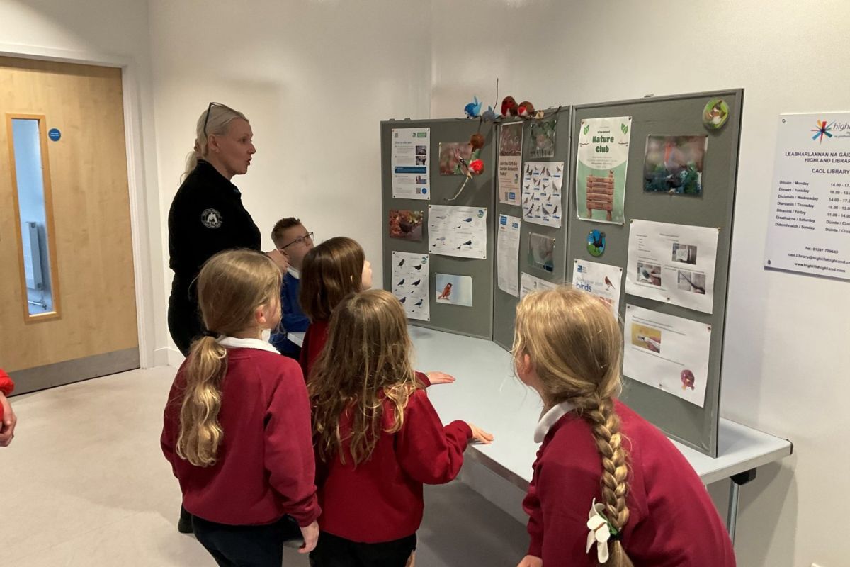 Children in Caol learned about local birdlife at the first after-school nature club. Photograph: High Life Highland Countryside Rangers.