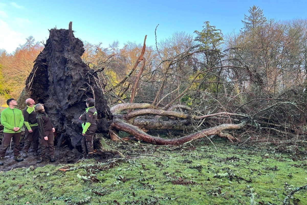 Appeal raises thousands in days after Gigha garden suffers ‘severe’ damage