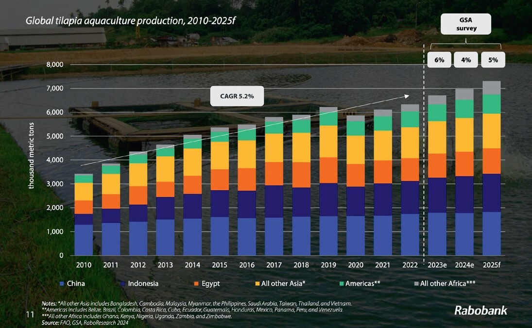 global_tilapia_production_Rabobank_20250206.jpg