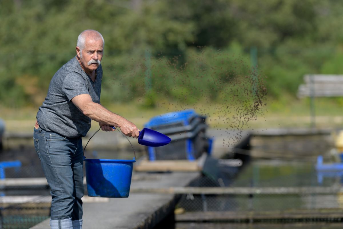 man-feeding-fish-in-farm_AdobeStock_214078438-20250205.jpg