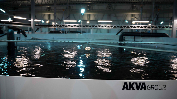 Strong revenues and profits from AKVA group in Q1