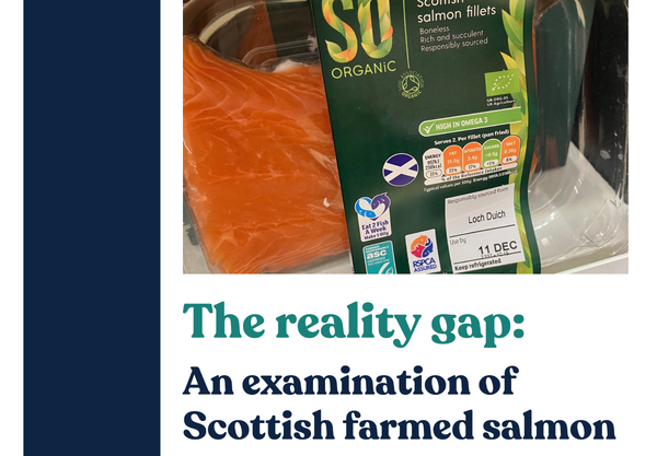 Campaign group targets salmon marketing