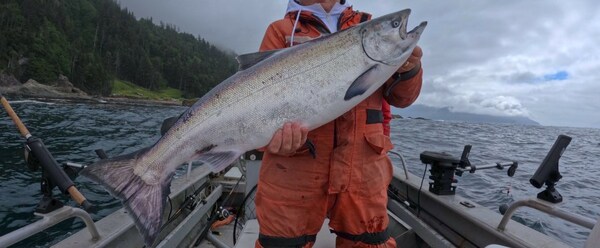 Missed connections: conference fails to grasp the issues around wild salmon decline