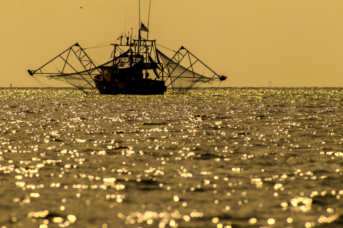 Louisiana_shrimper_AdobeStock_640530828_20250220