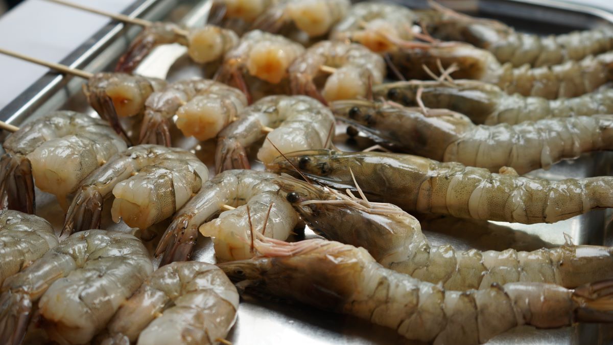 shrimp_AdobeStock_258929704-20250219.jpg