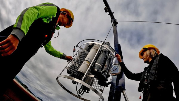 Decade of sea lice study charted in new report