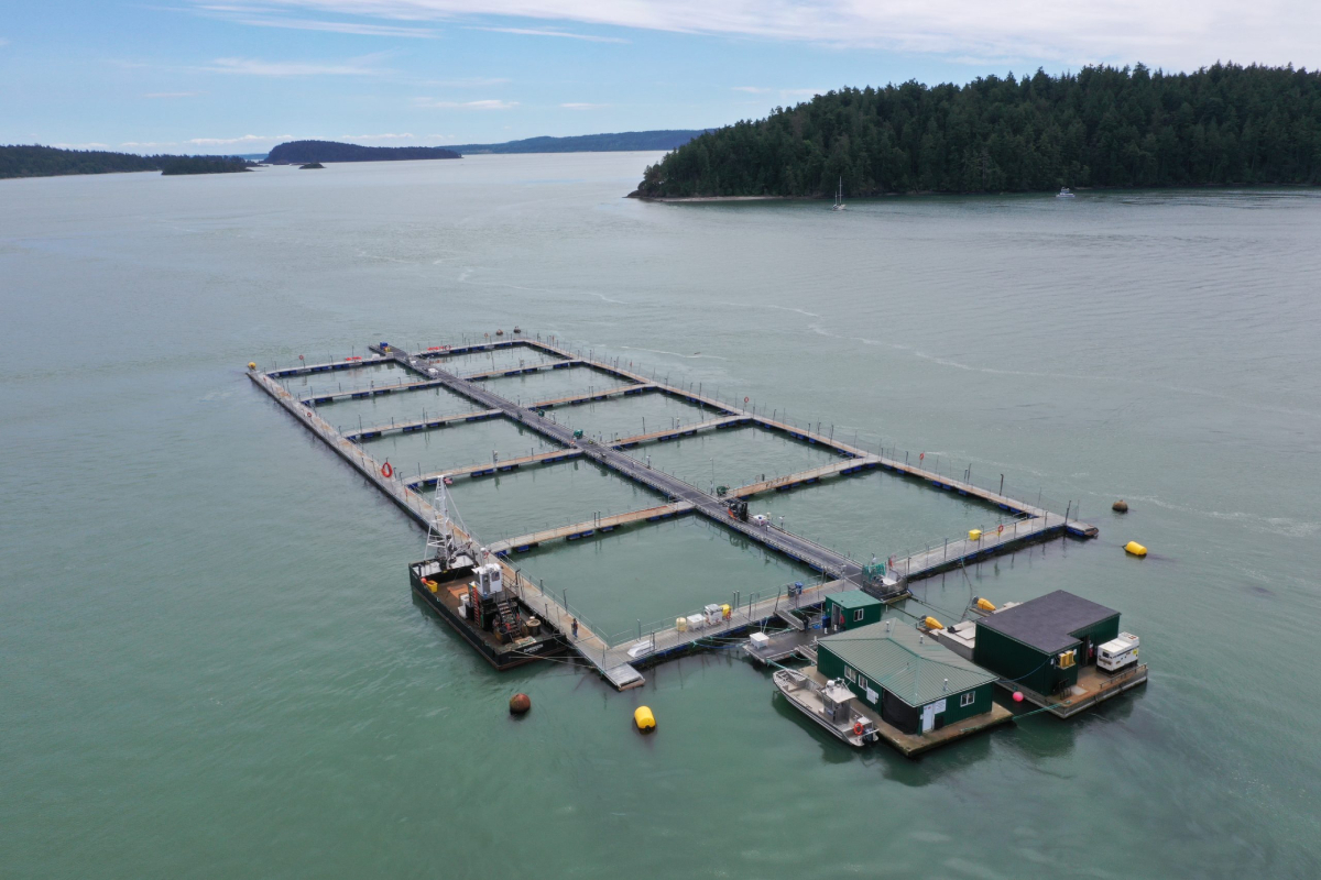 Hope-Island-steelhead-farm-Washington-state_Cooke-Aquaculture-Pacific-2022-20250303.jpg