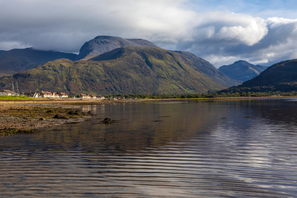 What lurks in the loch: studying sea lice