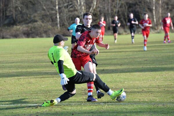 Young Saints pay the penalty against experienced Hares