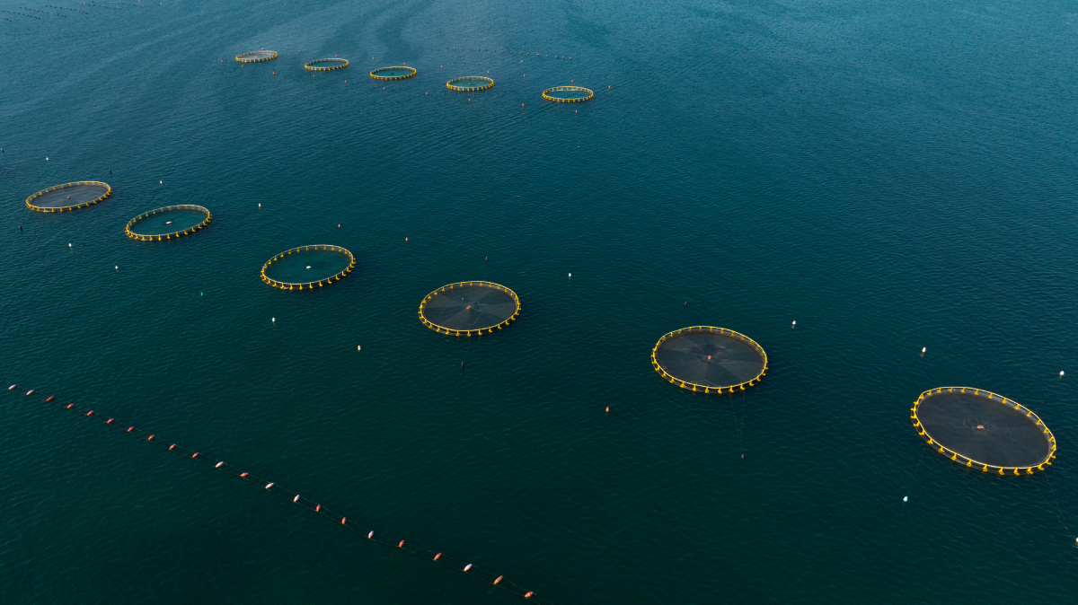 fish_farm_pens_AdobeStock_991741835_20250312