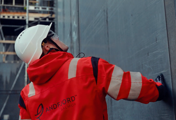 Andfjord reports good progress on its flow through site