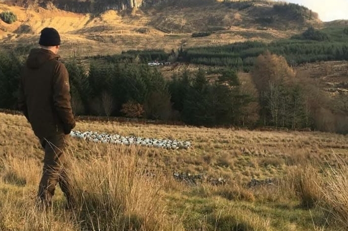 Sea eagle compensation increase not enough, says Mid Argyll farmer