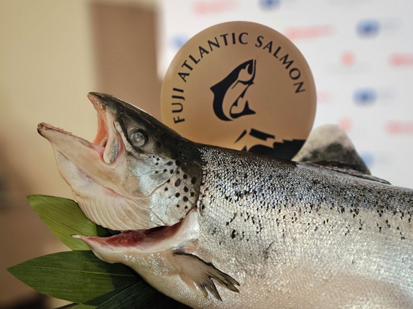 Proximar’s Fuji salmon finds a market in Taiwan