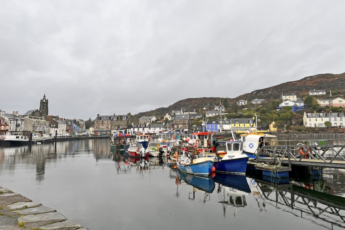 Tarbert_Harbour - 2023 Tarbert_Harbour - 2023