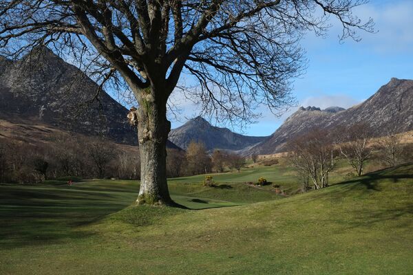 Arran golf results: November 14