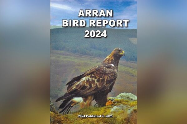 Everything you need to know about birds on Arran in a “must have” book