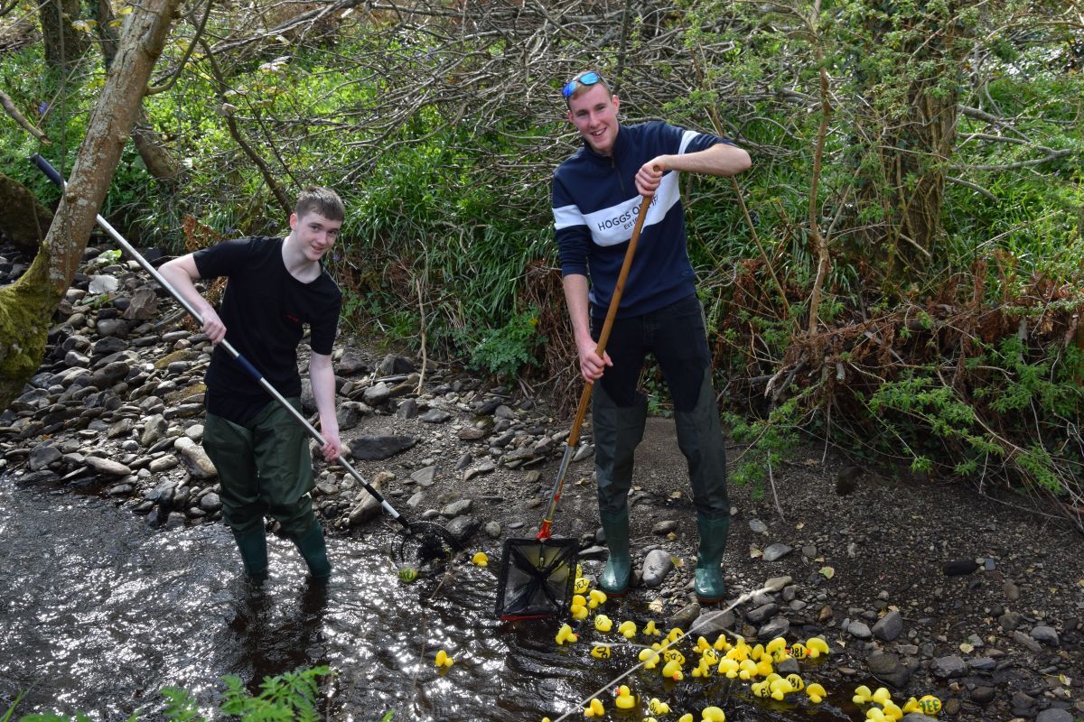 Duck herders Logan O’Hanlon and Sean Harvey helping the last ducks down the burn.