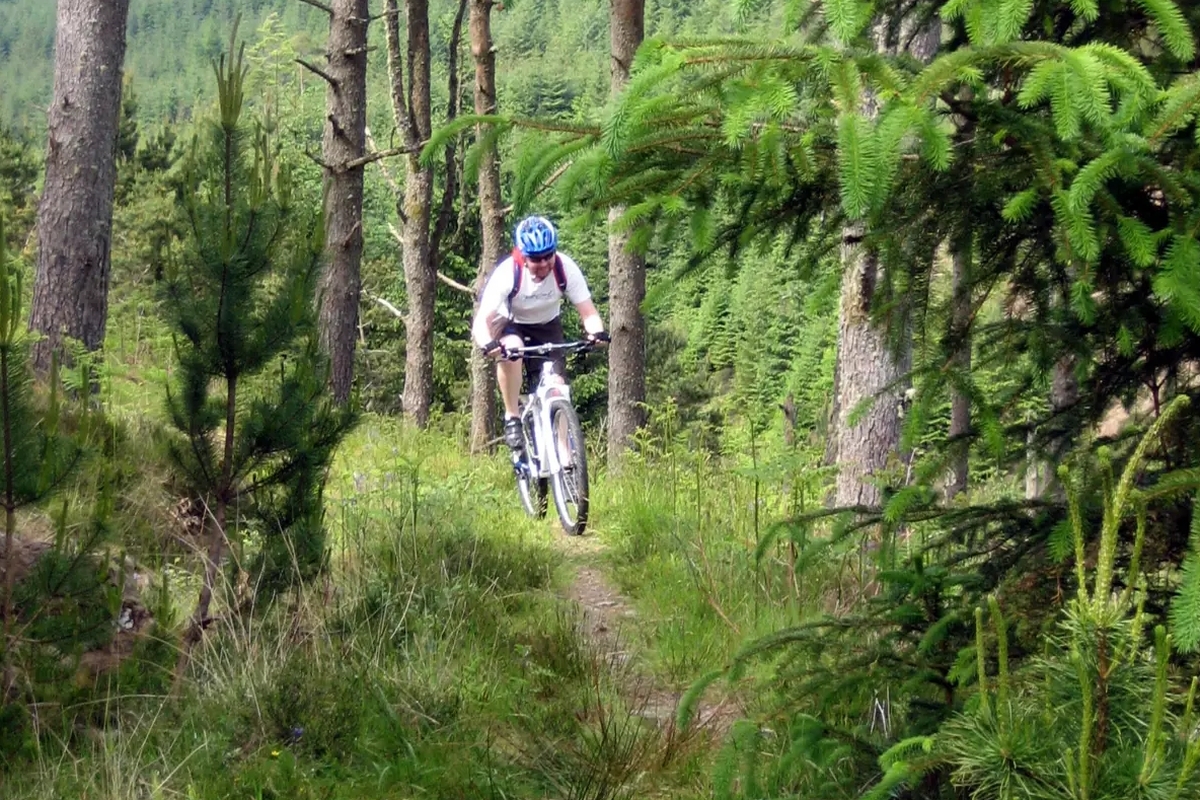 The Fire Tower Trail at Achnabreac will be closed for 12 months during the week. Photograph: VisitScotland The Fire Tower Trail at Achnabreac will be closed for 12 months during the week. Photograph: VisitScotland