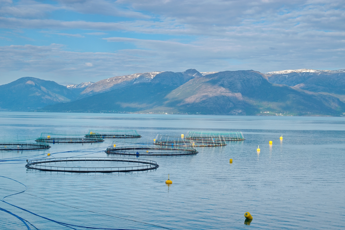 farm_Hardanger_AdobeStock_275955671_20250417