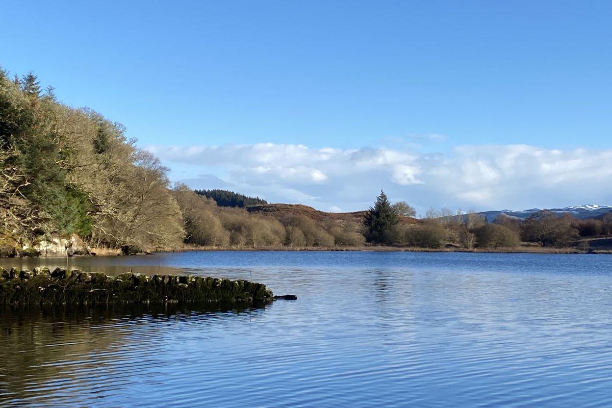Ford residents make bid to buy woodland for community