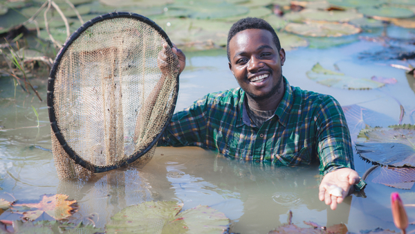 World Aquaculture Safari Africa Gold sponsor named