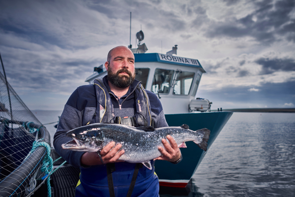 Soil Association puts salmon industry on notice: improve or else
