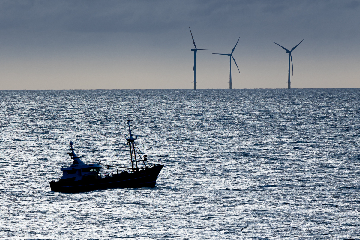 wind-farm-and-fishing-boat_AdobeStock_988842795_20250505.jpg