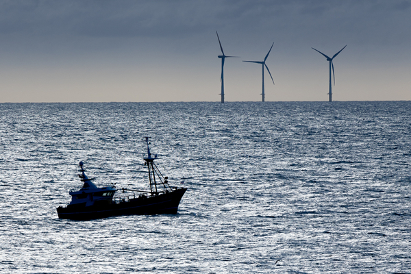 Good neighbours? Offshore farming and spatial conflict